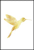 Colibrí Real Gold Póster